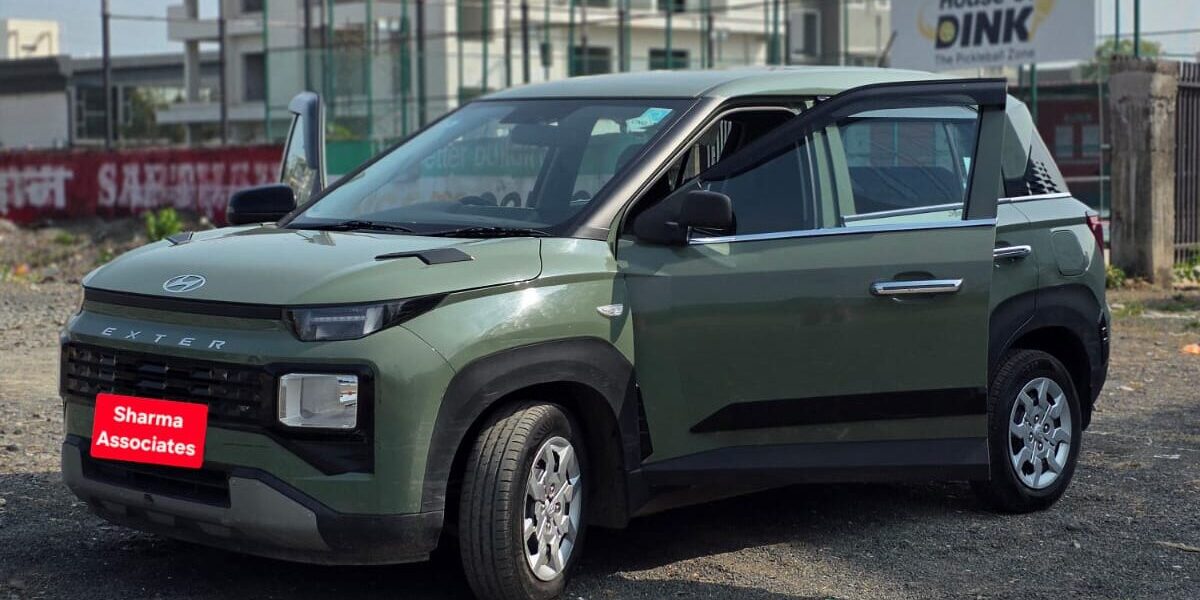 Wildlife Photography Slideshow